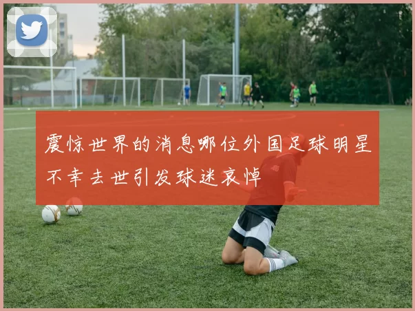 震惊世界的消息哪位外国足球明星不幸去世引发球迷哀悼