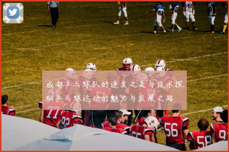 成都乒乓球队的速度之美与技术探秘乒乓球运动的魅力与发展之路