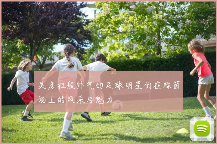 吴彦祖般帅气的足球明星们在绿茵场上的风采与魅力