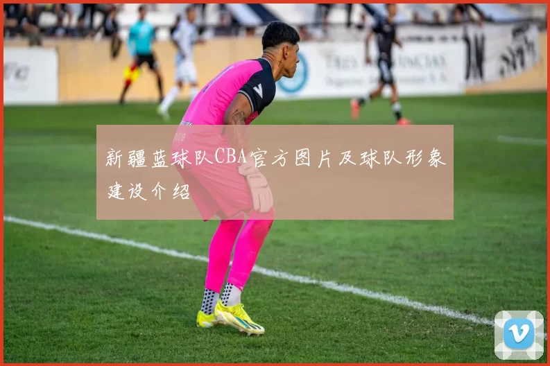 新疆蓝球队CBA官方图片及球队形象建设介绍