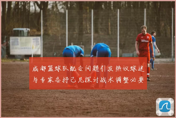 成都篮球队配合问题引发热议球迷与专家各抒己见探讨战术调整必要性