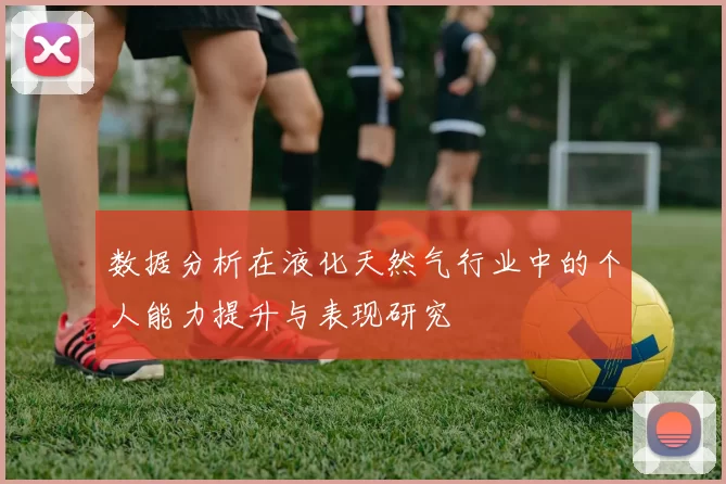 数据分析在液化天然气行业中的个人能力提升与表现研究