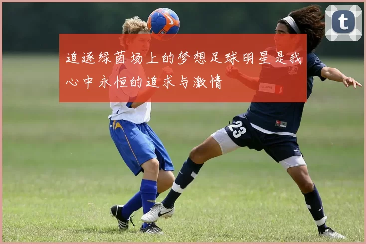 追逐绿茵场上的梦想足球明星是我心中永恒的追求与激情