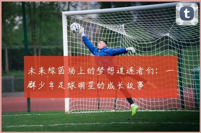 未来绿茵场上的梦想追逐者们：一群少年足球明星的成长故事