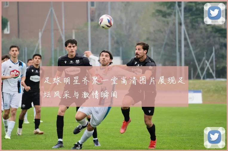 足球明星齐聚一堂高清图片展现足坛风采与激情瞬间