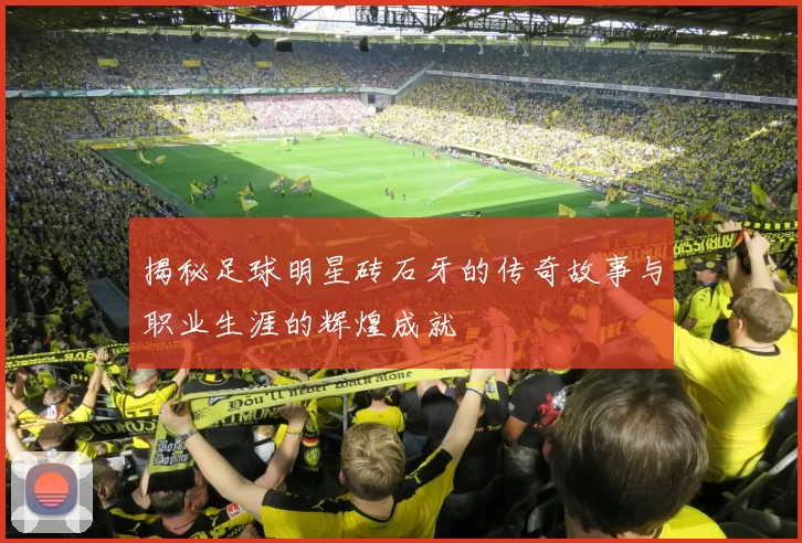 揭秘足球明星砖石牙的传奇故事与职业生涯的辉煌成就