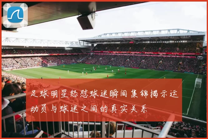 足球明星怒怼球迷瞬间集锦揭示运动员与球迷之间的真实关系