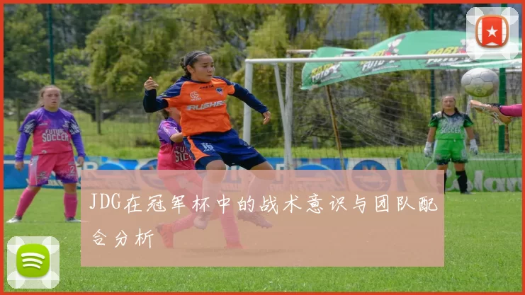JDG在冠军杯中的战术意识与团队配合分析