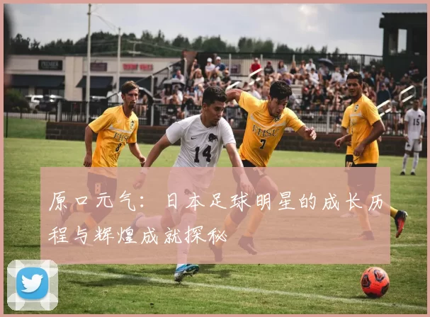 原口元气：日本足球明星的成长历程与辉煌成就探秘